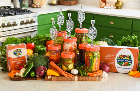 Vegetable Fermentation Kits